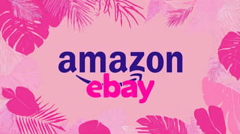 Starting an Online Business on Amazon or eBay