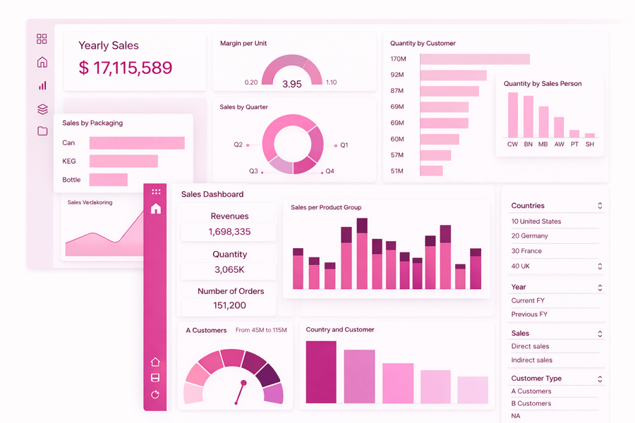 Financial Performance Software